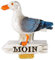 Magnet Maritim Moin Möwe 7 x 6,5 cm Vogel Seagull Nordsee See Deko GCG D17