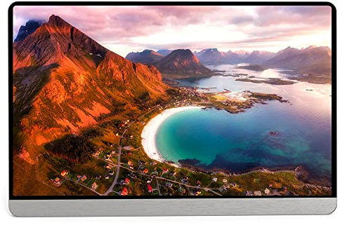 HUIOP Monitor Ultra Sottile da 16,1 Pollici con Porte Mini HD di Tipo C per PC Phone Tablet Console di Gioco 1080P IPS/USB-C Alimentato/HDR/Supporto Nascosto Spina Americana,Schermo del Computer