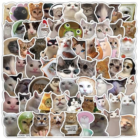 100 adesivi divertenti a forma di gatto, impermeabili, in vinile, motivo gattino, per bottiglie d'acqua, laptop, telefono, skateboard, per adolescenti, ragazze e bambini