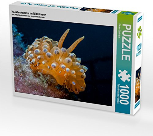 CALVENDO Puzzle Nacktschnecke im Mittelmeer | 1000 Teile Lege-Größe 64 x 48 cm Foto-Puzzle für glückliche Stunden