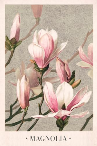 Close Up Magnolia Poster | Vintage Motiv by Louis Prang & Co | 1886 | XL Plakat (61 x 91,5 cm)
