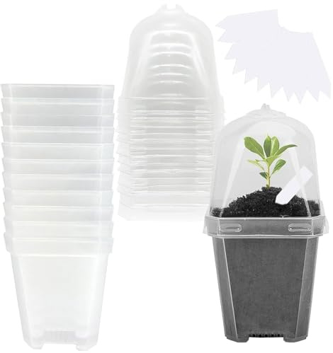 Generico Vaso Da Vivaio - 12 Pezzi Contenitore per Piantine Trasparente con Cupola di Umidità | Vasi per Coltivazione | Per Serra, Interno Ed Esterno, Per Talee, Ortaggi, Fiori, E Orchidee