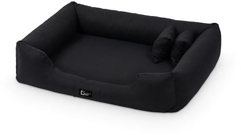 exclusive BED Orthopädisches Hundebett Bruno Grosse Mittelgroße Kleine Hunde - Hundekissen Hundematte aus Aura-Stoff - Memory Foam Kuschelig Langlebig Abriebfest Reißfest (L, Schwarz)