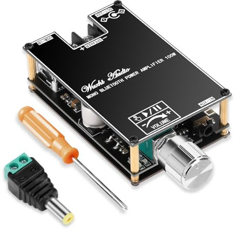 ZK-1001B 2 x 100 W Bluetooth Verstärker Modul, Monokanal Verstärkerplatine mit TWS-Kopplungsfunktion, 9-24V Stereo Audio Empfänger Leistungsverstärker Board mit Bluetooth/USB und AUX-Eingängen