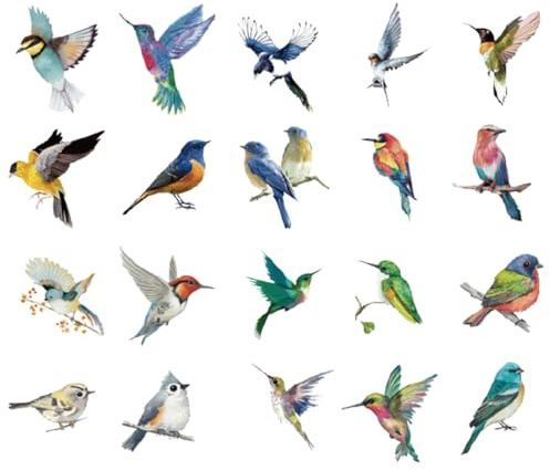 Mjzzh 40 adesivi primaverili per finestre con uccelli, adesivi estivi colorati con colibrì, decorazioni in vetro antiurto per la protezione degli uccelli.