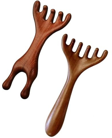 KGDUYC 2 peignes de massage des méridiens de la tête, peigne de cuir chevelu gua sha, masseur corporel multifonction, masseur des méridiens, pour le soin de la tête, la relaxation