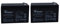 Diamec Lot de 2 Batteries au Plomb AGM 12 V 7 Ah F1 pour sécurité