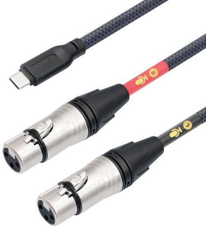 HUALEU HUALUE 10Ft Dual XLR Female to USB C Stereo Microphone Cable,XLR Female Smartphone USB C Recording Cable,Dual Channel Stereo Input XLR to USB C for iPhone 15 ipad Dynamic Condenser Microphone
