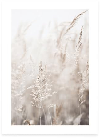 Bildershop-24 Schilf 30x40 cm