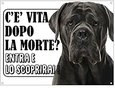 CARTELLO ATTENTI AL CANE - CANE CORSO c'è vita dopo la morte, entra e lo scoprirai - Con Adesivo in Vinile e Pannello in Forex (Pannello 5mm Stampato)
