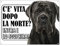 CARTELLO ATTENTI AL CANE - CANE CORSO c'è vita dopo la morte, entra e lo scoprirai - Con Adesivo in Vinile e Pannello in Forex (Pannello 5mm Stampato)