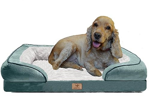 Traumreiter orthopädisches Hundebett für mittelgroße Hunde L Grün I Hundekörbchen Hundekorb Hundekissen Hundehöhle Hundesofa Hunde Bettchen Hundebetten für mittlere Hunde 90x60 cm