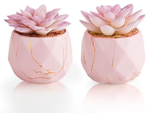 ZENIDA Plantas artificiales en maceta de cerámica, 2 piezas de plantas artificiales suculentas, plantas de interior falsas, decoración para dormitorio, salón, baño, oficina, escritorio, maceta rosa