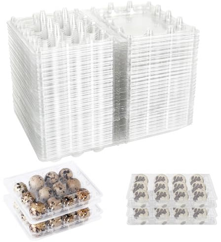 Oungy 60 cajas de huevos de codorniz, 12 rejillas, cartón para huevos de codorniz