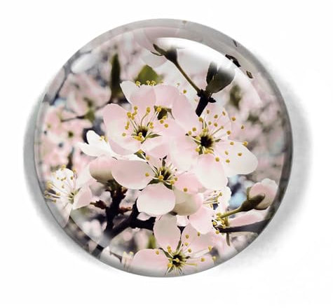 LWAY Kristall Kuppel Glas Briefbeschwerer 80mm (CHERRY BLOSSOM)