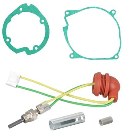 Riloer Glühkerzen-Reparatursatz, Glühkerze für Dieselheizung, Glühzündkerzensatz für Standheizungen für Diesel, kompatibel mit D2-Modell-Zusatzheizungen mit 12 V DC 5 kW