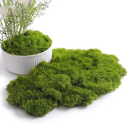 HUANYO 200g Artificial Preserved Moss Light Green – Fake Lichen Moss for Plant Pots, Crafting, Floral Arrangements, Vase Fillers & Home Decoration (dark green)