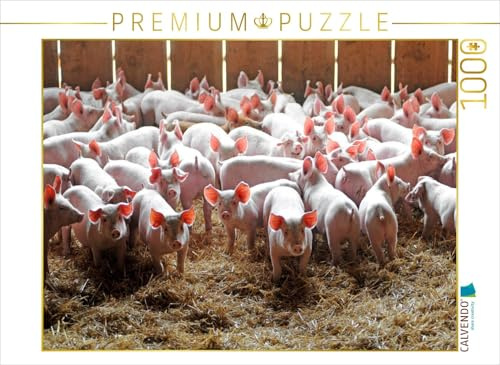 CALVENDO Puzzle Schweine | 1000 Teile Lege-Größe 64 x 48 cm Foto-Puzzle für glückliche Stunden