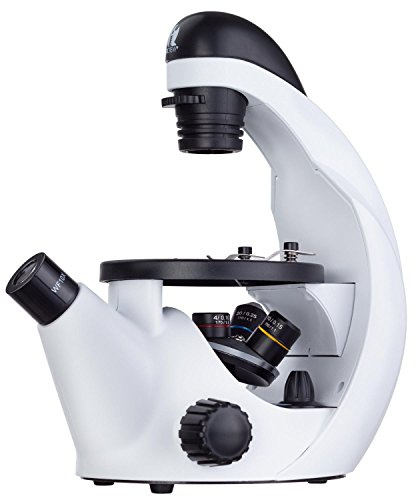 IQCrew by AmScope 40X-200X Kids Inverted Compound Microscope for Students