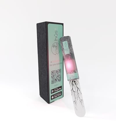 hûs+ Flower Eco - Medidor de humedad para plantas (indicador de riego digital, incluye batería de 10 años, medidor de humedad para plantas, sensor resistente al agua)