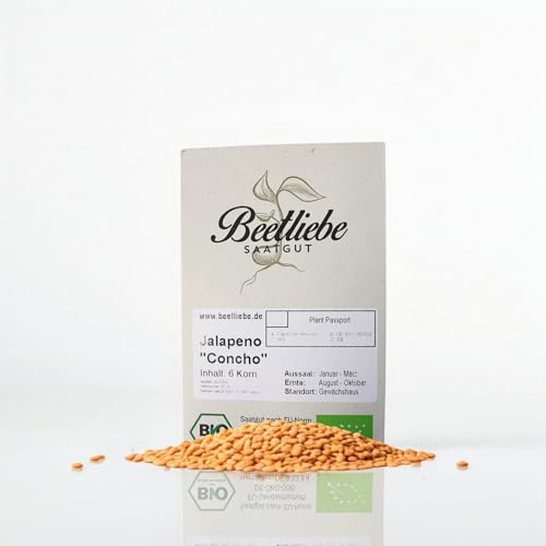 Bio Jalapeno Samen Concho samenfestes Saatgut von Beetliebe sehr scharf Chili-Sorte