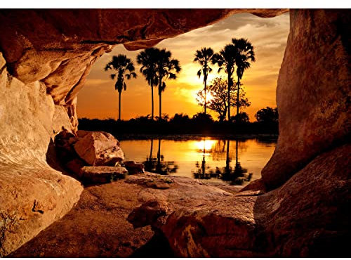 Runa Art Fototapete Afrika Palmen Modern Vlies Wohnzimmer Schlafzimmer - Made in Germany - 308 x 220 cm Orange 9343010b