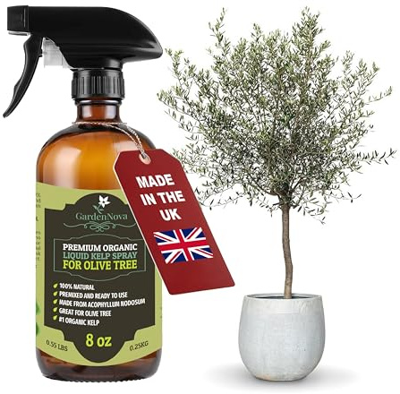 GARDENNOVA Professional Organic Liquid Kelp Spray for Olive Tree Plants - 8 oz - Ready-to-Use Fully Organic Seaweed & Kelp Fertilizer Mist
