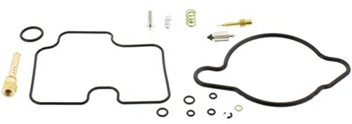 KIT REVISIONE CARBURATORE JMP Vollsatz