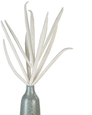 Casablanca Foam Flower Linares Weiss