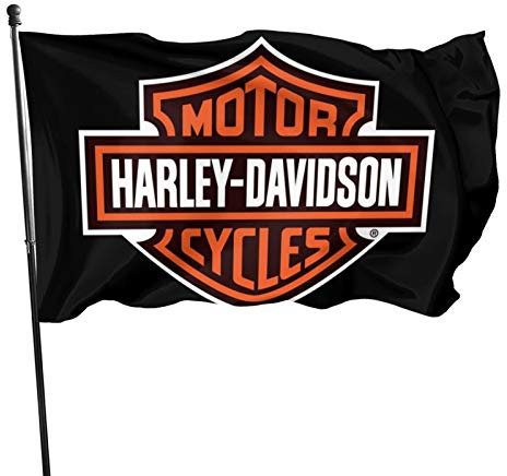Sarah Scott, Flagge für Motorradliebhaber, 90 x 150 cm, lebendige Farben und lichtbeständig, Heimdekoration, Gartendekoration, Außen-/Innendekoration (Stil 2)