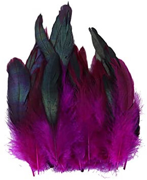 Surakey 100 Stück Basteln Federn,Rosa Hahnenfedern,14-20CM DIY Bastelfedern für Bastelprojekte Traumfänger DIY Ohrringe Faschingskostüme Party Hüte Masken Schmuckstücke Ostereier Deko Fasanfedern