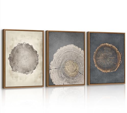 3 Pcs Vintage Baum Ringe Holz Leinwand Bilder mit Rahmen Set, Retro Holz Stumpf Wandbilder Natur Bauernhaus Rustikal Bild Auf Leinwand Poster Deko für Wohnzimmer Schlafzimmer Büro 30X40cmx3 Pcs