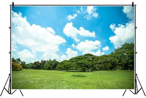 Bovlleetd 300x200cm Natur Landschaft Hintergrund für Fotografie Grün Rasen Himmel Blau Weiß Wolke Hintergrund Vinyl Sunny Day Outdoor Travel Portraits YouTube Studio Requisiten