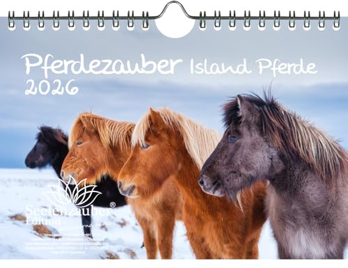 Pferdezauber Island Pferde DIN A5 Kalender für 2026 Pferde und Fohlen - Seelenzauber