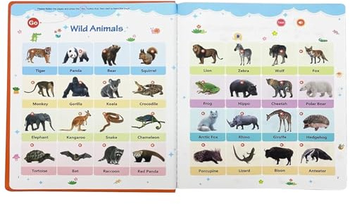 Englisch Wörterbuch Lehrreicher Interaktiver Wortschatz