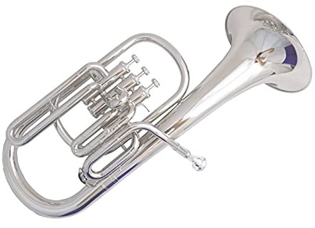 Student Trompete Eb Alto Horn Nickel Überzogen Mit Fall Mundstück 3 Kolben Alto Horn Musikinstrumente Gelb Messing Althorn (Color : Silver Plated)