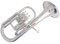 Student Trompete Eb Alto Horn Nickel Überzogen Mit Fall Mundstück 3 Kolben Alto Horn Musikinstrumente Gelb Messing Althorn (Color : Silver Plated)