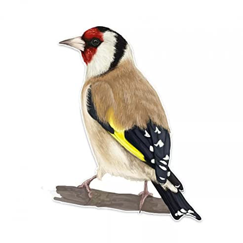 MACMRD Auto Aufkleber 10,8 * 14,2 cm Kreative Lustige Vogel Dekoration Auto Aufkleber Personalisierte Zubehör Auto Stoßstange