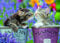 Nathan Puzzle 1000 Teile – Kätzchen Küsse – Erwachsene und Kinder ab 14 Jahren – Premium-Puzzle – perfekte Integration – Kollektion Tendresse – 12000918