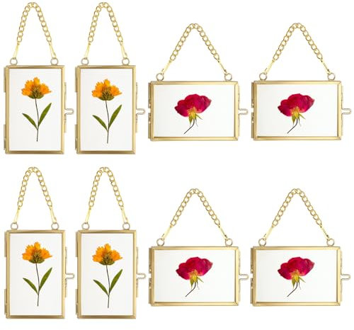 SUMTree 8Pcs Bilderrahmen aus Glas und Metall,Hängende Glas Fotorahmen,Pflanze Probe Clip,Für gepresste Blumen,Fotos,Nur Glasrahmen (Golden, 5x7,6 cm, Rechteck, 4 x horizontal,4 x vertikal)