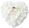 Romantic Rose Band Herzform Ring Kissen Box Schmuck Hochzeit Geschenk, plastik, weiß, Einheitsgröße