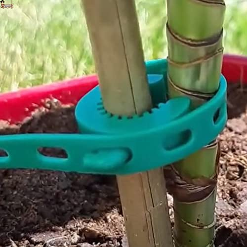 BricoLoco.com Elastischer Flansch für Pflanzen und Größen. Verstellbar und wiederverwendbar. Clip zum Befestigen des Stiels an das Tutor-System. Zughilfe, Führung, Atado. (50, Länge 17,5 cm)