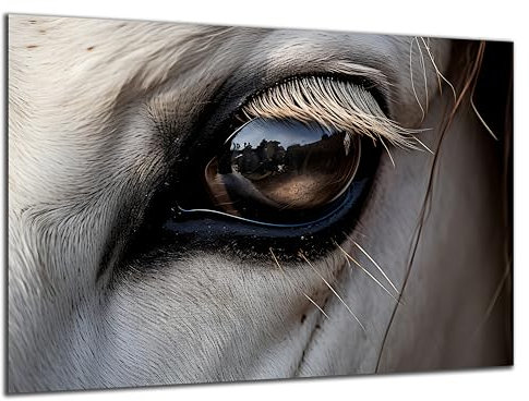 Munera Design - Bild 30x40 - Pferd Pferde-Bilder Auge - Wand-Bilder Wohnzimmer
