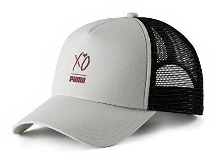 Puma XO Trucker Cap für Herren, Beige, Einheitsgröße, beige