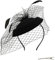 Umeepar Damen Pillbox Fascinator Hut Hochzeit Tea Party Hüte mit Federn Schleier Stirnband Clip (Schwarz)