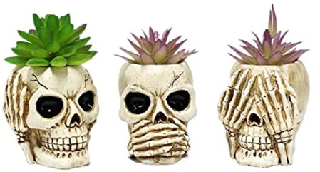 Muzrunq Skull Planter Unique Skull Plant Pot Resin Skull Shaped Flower Pot Human Skull Head Bowl Creative Succulents Pots for Home Office Desk Decor 3Pcs (White)