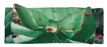 WZYWHJ Agave Kaktus Bild Baby Schleife Stirnbänder und elastische, weiche Haar-Accessoires für Neugeborene und Mädchen