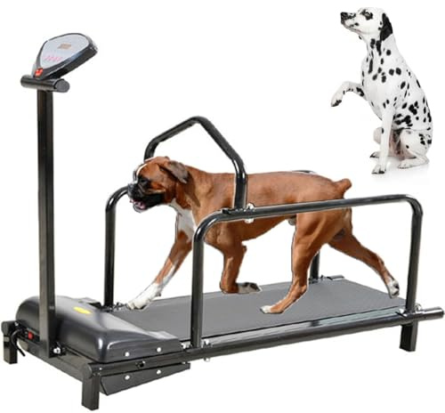 Hundelaufband für große und mittlere Hunde - Verstellbare Slatmill-Maschine mit Schrittzähler für Indoor-Training und gesundes Haustierleben