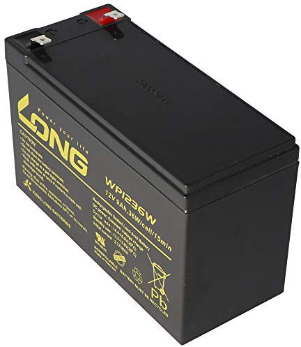 AccuCell Neu Kung Long WP1236W 12Volt 36W Blei Akku mit 9Ah, 6,3mm Faston Tab 250