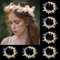 10Pcs LED Haarreif,Haarkranz LED,Haarkranz Leuchtend,Haarkranz Leuchtend,Blumenkranz Leuchtend,LED Blumenkranz Haare für Damen und Kinder Geburtstag Weihnachten Halloween Fasching Party Hochzeit Dekor